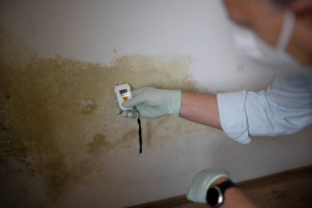 Best Crawl Space Mold Removal  in Lindsborg, KS