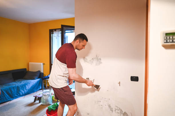 Best Emergency Mold Removal  in Lindsborg, KS